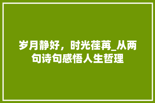 岁月静好，时光荏苒_从两句诗句感悟人生哲理