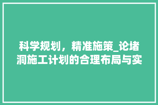 科学规划，精准施策_论堵洞施工计划的合理布局与实施