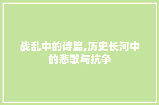 战乱中的诗篇,历史长河中的悲歌与抗争
