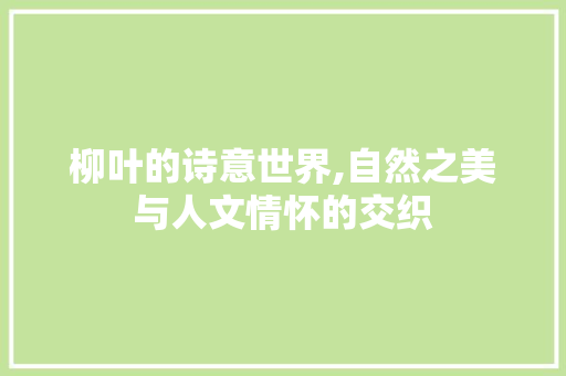 柳叶的诗意世界,自然之美与人文情怀的交织