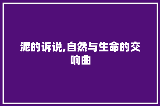 泥的诉说,自然与生命的交响曲