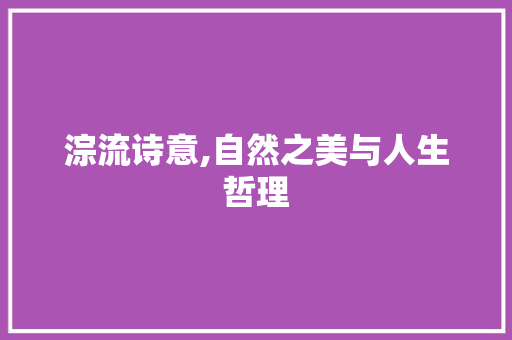 淙流诗意,自然之美与人生哲理 工作报告