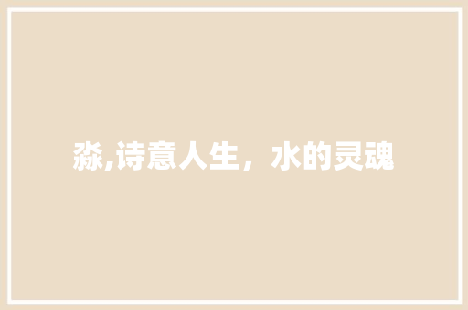 淼,诗意人生，水的灵魂
