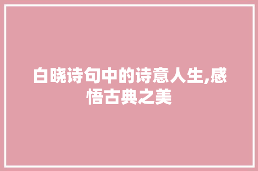 白晓诗句中的诗意人生,感悟古典之美