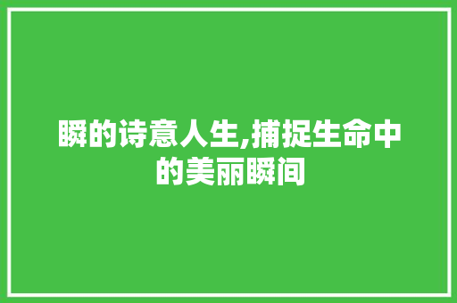瞬的诗意人生,捕捉生命中的美丽瞬间