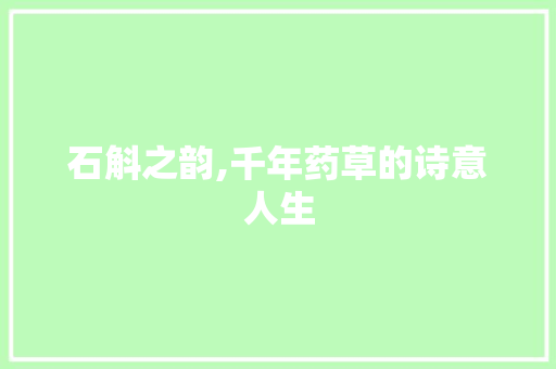 石斛之韵,千年药草的诗意人生