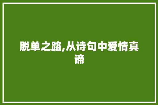 脱单之路,从诗句中爱情真谛