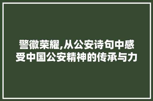 警徽荣耀,从公安诗句中感受中国公安精神的传承与力量