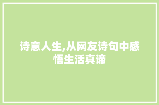 诗意人生,从网友诗句中感悟生活真谛 采访稿