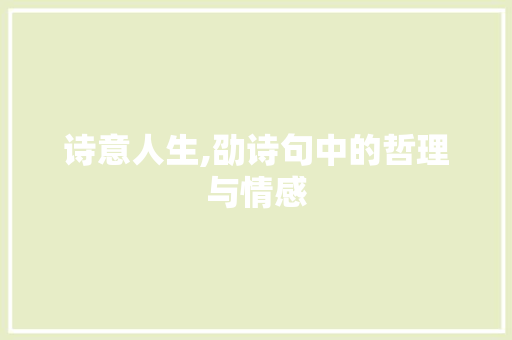 诗意人生,劭诗句中的哲理与情感
