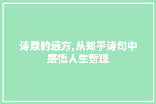 诗意的远方,从知乎诗句中感悟人生哲理 工作报告