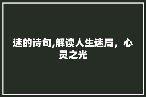 迷的诗句,解读人生迷局，心灵之光