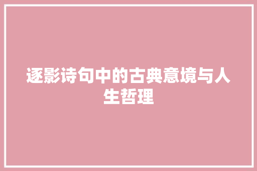 逐影诗句中的古典意境与人生哲理