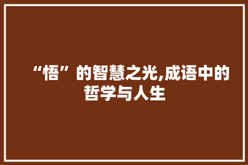 “悟”的智慧之光,成语中的哲学与人生