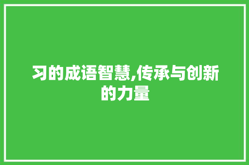 习的成语智慧,传承与创新的力量