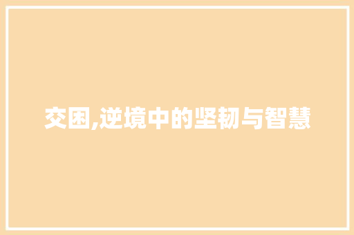 交困,逆境中的坚韧与智慧