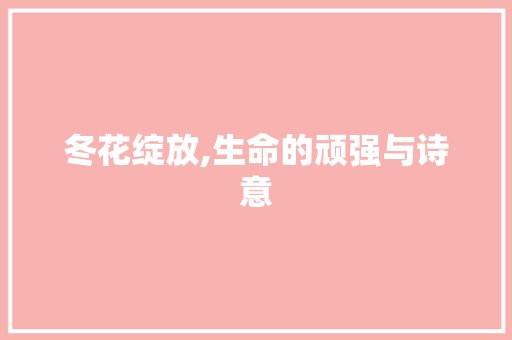冬花绽放,生命的顽强与诗意