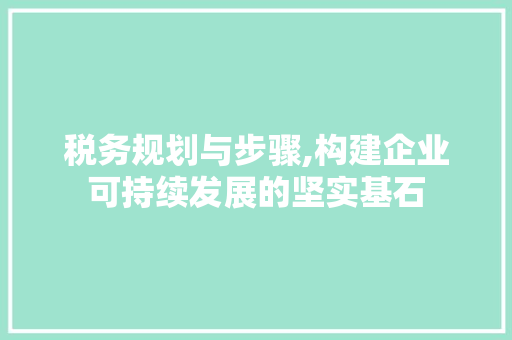 税务规划与步骤,构建企业可持续发展的坚实基石