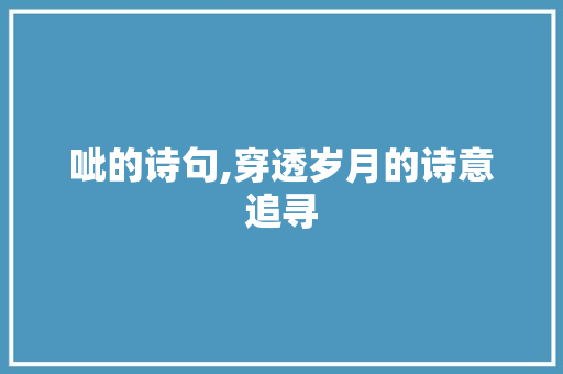 呲的诗句,穿透岁月的诗意追寻