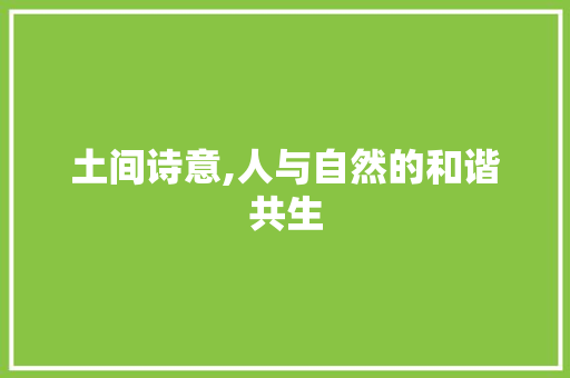 土间诗意,人与自然的和谐共生 生活感悟
