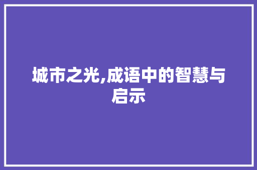 城市之光,成语中的智慧与启示