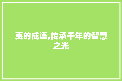 夷的成语,传承千年的智慧之光