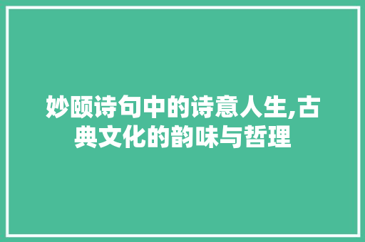 妙颐诗句中的诗意人生,古典文化的韵味与哲理