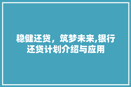 稳健还贷，筑梦未来,银行还贷计划介绍与应用