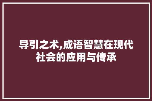 导引之术,成语智慧在现代社会的应用与传承