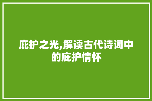 庇护之光,解读古代诗词中的庇护情怀