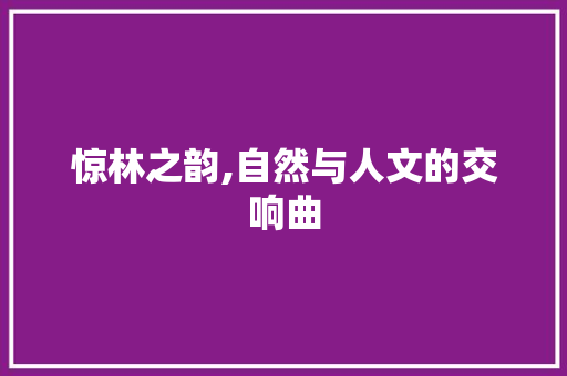 惊林之韵,自然与人文的交响曲