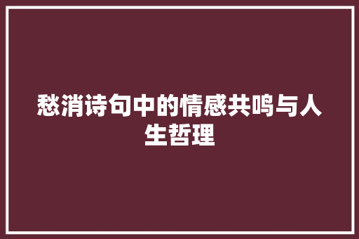 愁消诗句中的情感共鸣与人生哲理