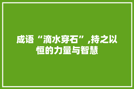 成语“滴水穿石”,持之以恒的力量与智慧
