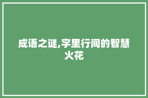 成语之谜,字里行间的智慧火花