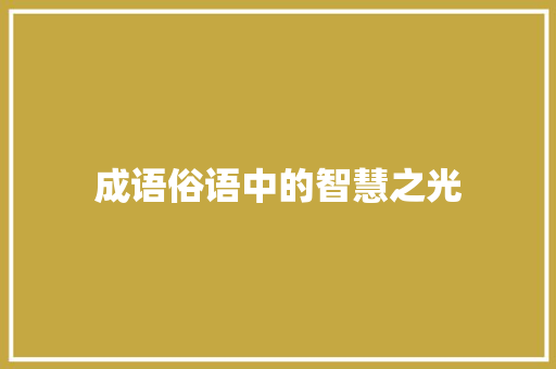 成语俗语中的智慧之光
