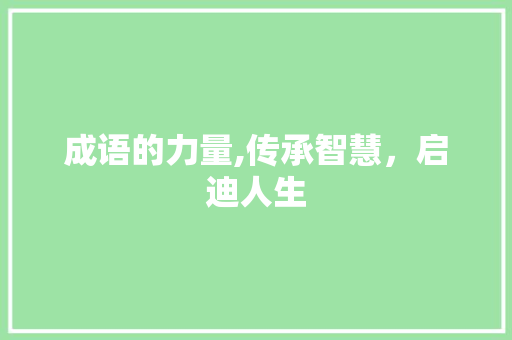 成语的力量,传承智慧，启迪人生