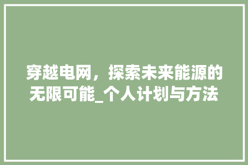 穿越电网，探索未来能源的无限可能_个人计划与方法 采访稿