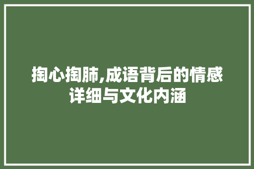 掏心掏肺,成语背后的情感详细与文化内涵