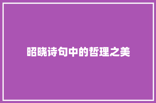 昭晓诗句中的哲理之美