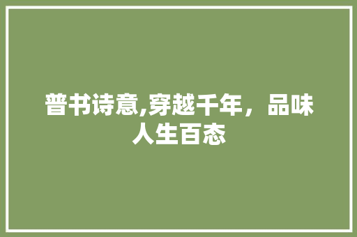 普书诗意,穿越千年，品味人生百态