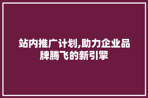 站内推广计划,助力企业品牌腾飞的新引擎