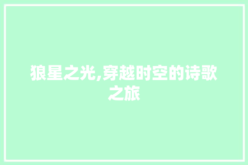 狼星之光,穿越时空的诗歌之旅