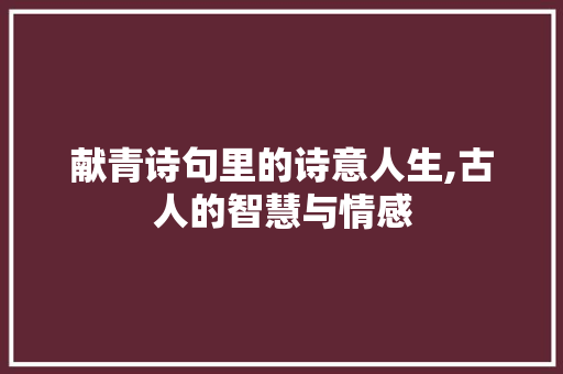 献青诗句里的诗意人生,古人的智慧与情感