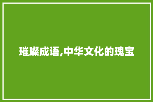 璀璨成语,中华文化的瑰宝