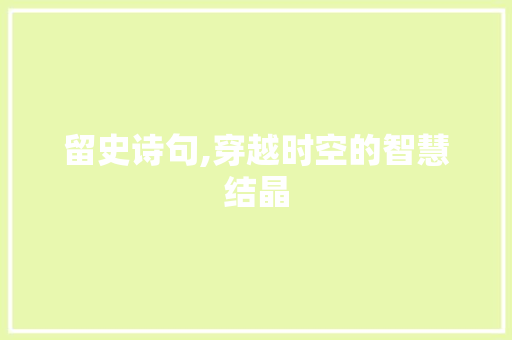 留史诗句,穿越时空的智慧结晶