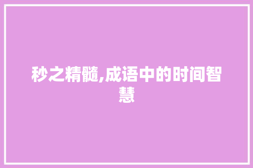 秒之精髓,成语中的时间智慧