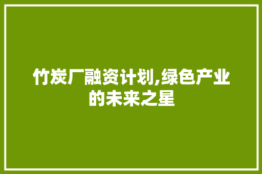 竹炭厂融资计划,绿色产业的未来之星