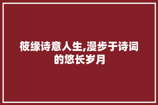 筱缘诗意人生,漫步于诗词的悠长岁月 工作总结