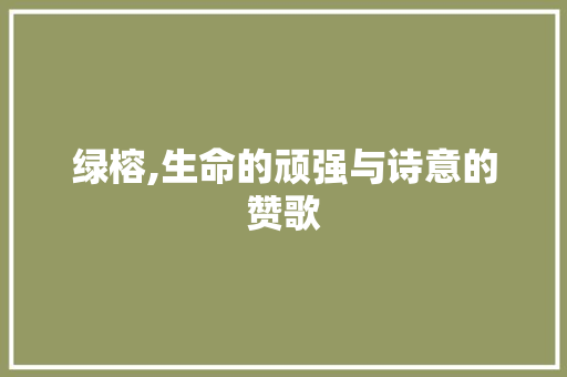 绿榕,生命的顽强与诗意的赞歌