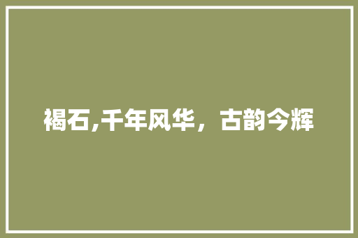 褐石,千年风华，古韵今辉